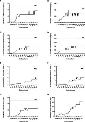 In vitro selection of Neisseria gonorrhoeae unveils novel mutations associated with extended-spectrum cephalosporin resistance